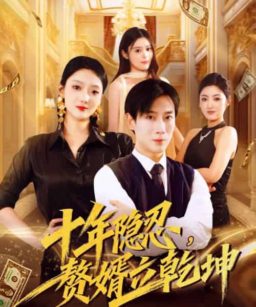 十年隐忍赘婿立乾坤（80集全）安安＆杨杰-海之城短剧项目