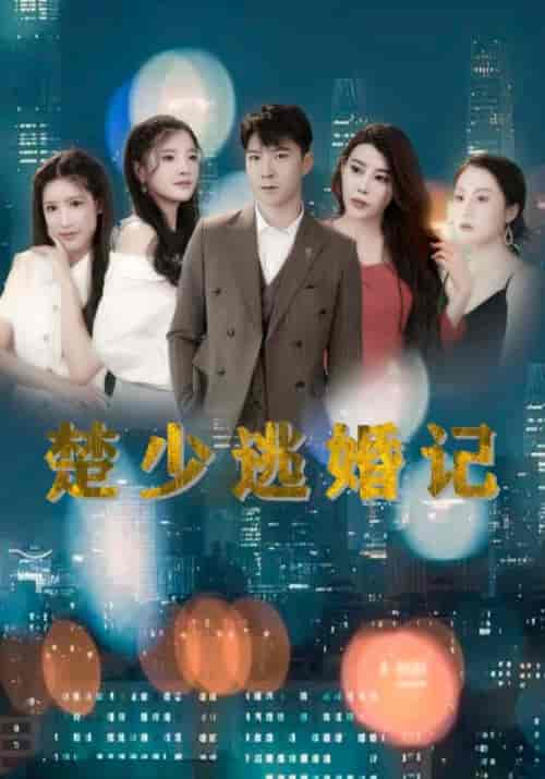 楚少逃婚记（54集全）楚天一＆方宛若 - 海之城短剧