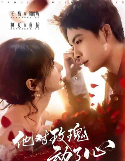 他对玫瑰动了心（68集全）王楠＆初夏-海之城短剧项目