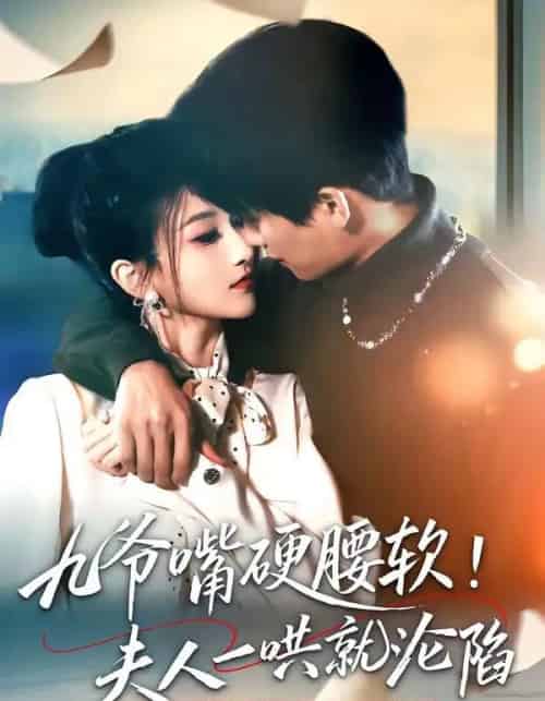 九爷嘴硬腰软！夫人一哄就沦陷（70集全）毛祁生＆董瑷宁-海之城短剧项目