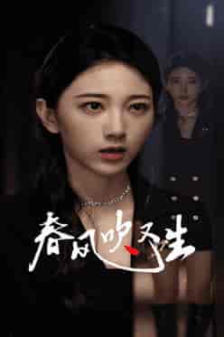 新版：春风吹又生（50集全） - 海之城短剧