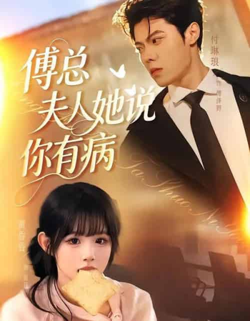 傅总夫人她说你有病（65集全）黄昏昏＆付琳琅-海之城短剧项目