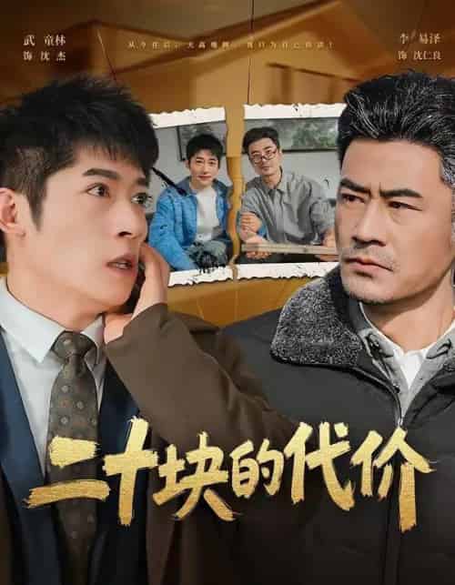 二十块的代价（64集全）李易泽＆陈旭-海之城短剧项目