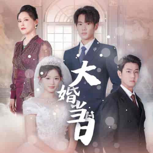 大婚当日（50集） - 海之城短剧
