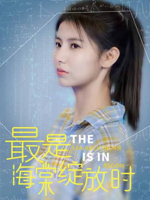 最是海棠绽放时（33集全）邓恒健＆王槿 - 海之城短剧