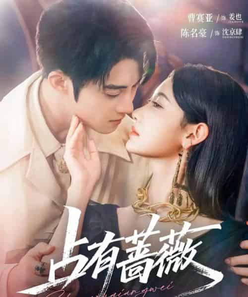 占有蔷薇（76集）陈名豪＆曹赛亚-海之城短剧项目