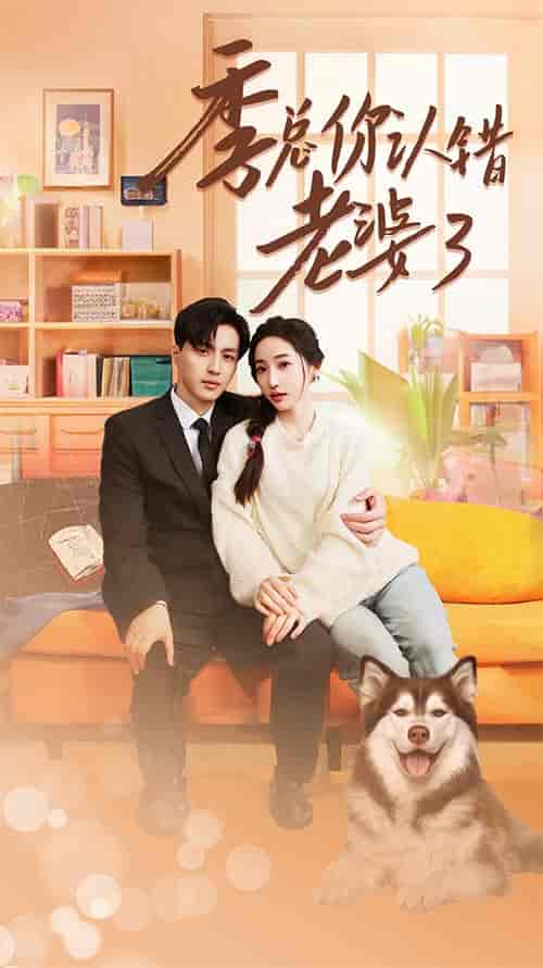 季总你认错老婆了＆远在眼前的你（90集） - 海之城短剧