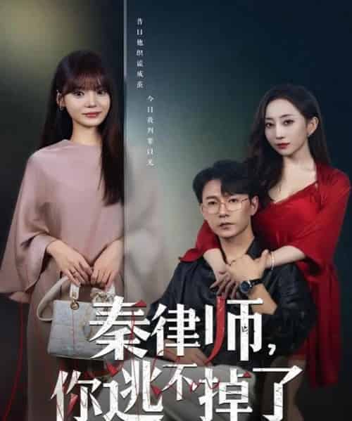 秦律师你逃不掉了（80集全）祁圣翰＆王一晴-海之城短剧项目