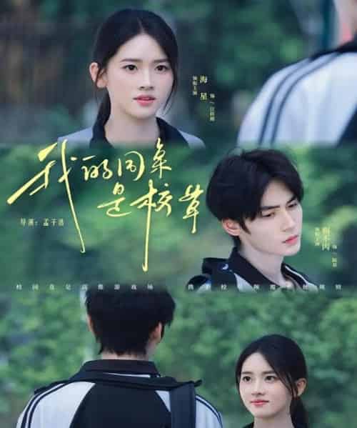 我的同桌是校草（51集全）赐不肉＆海星-海之城短剧项目