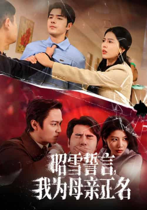昭雪誓言，我为母亲正名（60集全）李浩＆林娜 - 海之城短剧