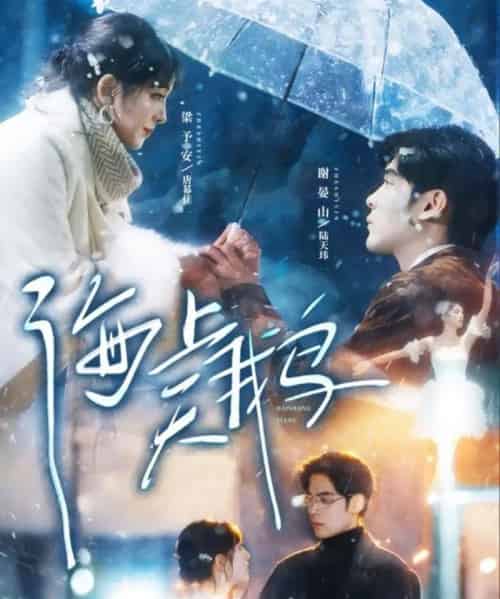 海上天鹅（70集全）陆天玮＆唐幕佳-海之城短剧项目