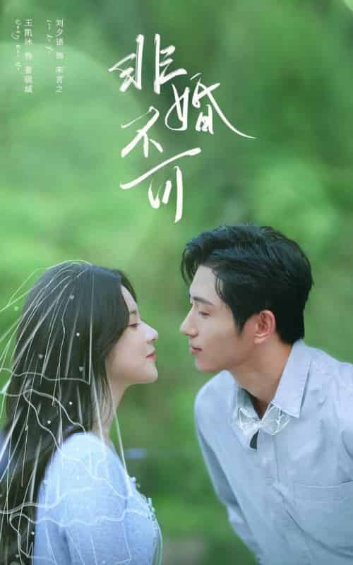 非婚不可（65集全）王凯沐＆刘夕语-海之城短剧项目