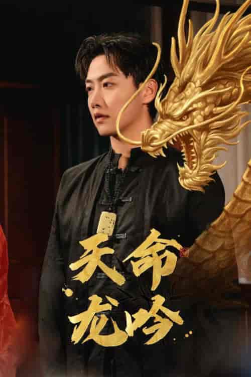 天命龙吟（48集全） - 海之城短剧