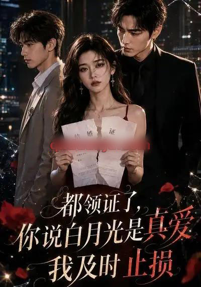 都领证了，你说白月光是真爱我及时止损（72集全）AI短剧-海之城短剧项目