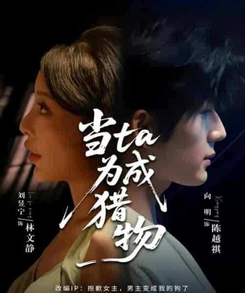 当ta成为猎物（70集全）刘昱宁＆向明-海之城短剧项目