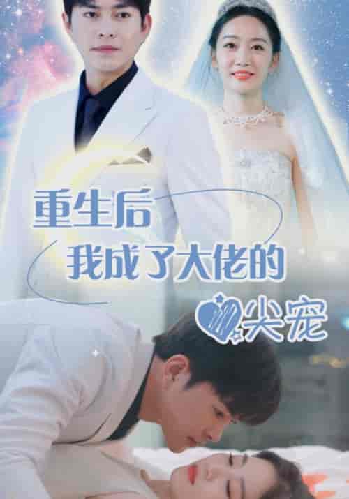 离婚后我成大佬心尖宠 离婚后我成大佬心尖宠