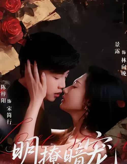 明撩暗宠（60集全）陈梓阳＆景露-海之城短剧项目