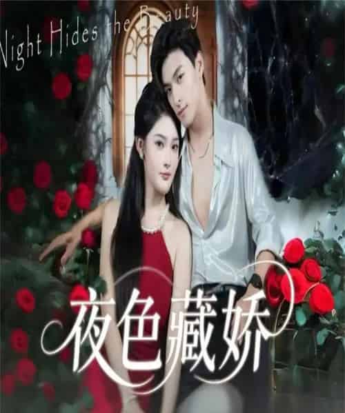 夜色藏娇（65集全）范瑞恒＆王知煜-海之城短剧项目