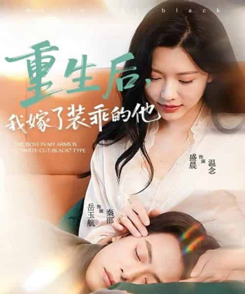 重生后，我嫁了装乖的他（81集全）岳雨航＆盛晨-海之城短剧项目