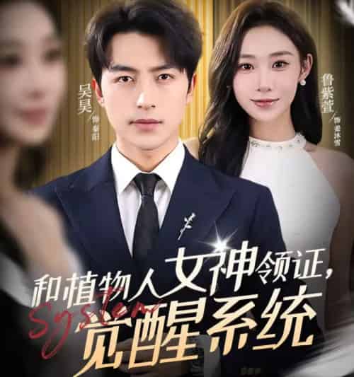 和植物人女神领证，觉醒系统（67集全）吴昊＆鲁紫萱-海之城短剧项目