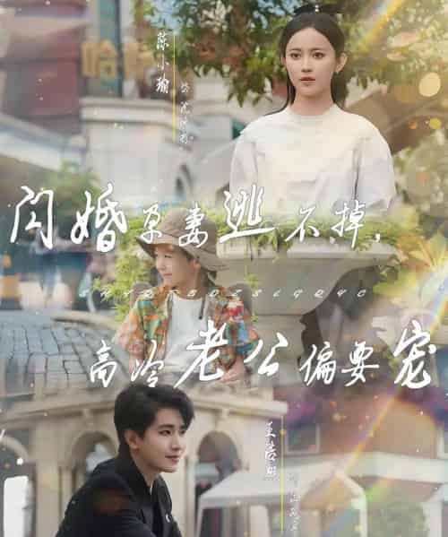 闪婚孕妻逃不掉，高冷老公偏要宠（78集）王浩翔＆陈小瑜 - 海之城短剧