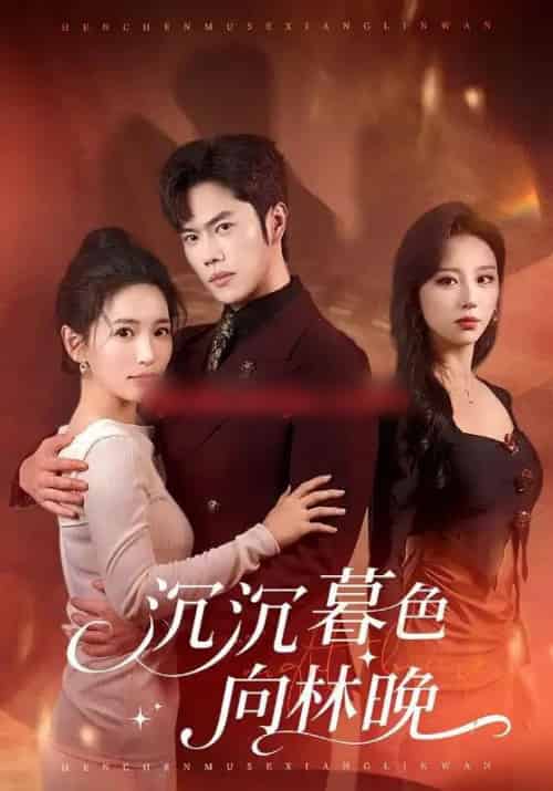 沉沉暮色向林晚（60集全）聂子轩＆李雪莹-海之城短剧项目