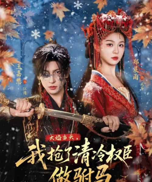 大婚当天，我抢了清冷权臣做驸马（73集全）王嘉懋＆郑晨雨-海之城短剧项目
