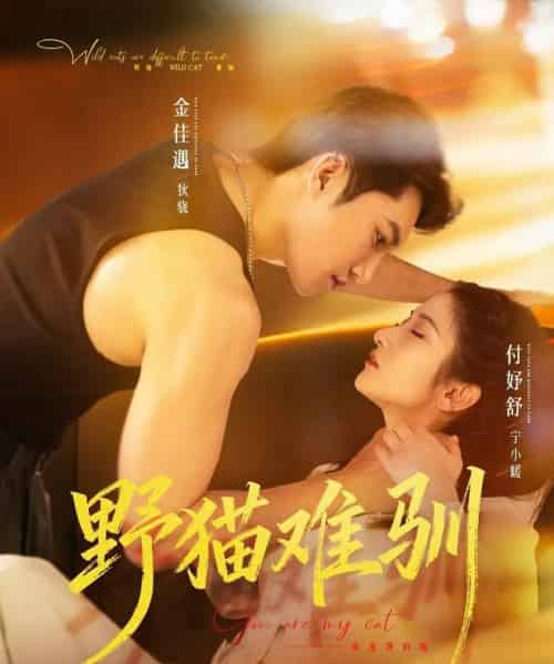 野猫难驯（73集全）金佳遇＆付妤舒-海之城短剧项目