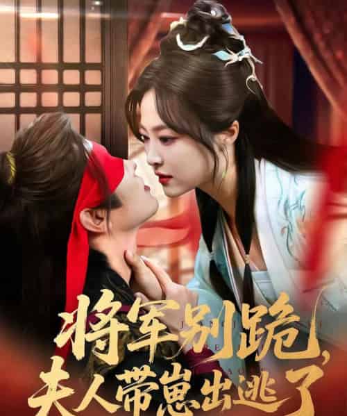 将军别跪，夫人带崽出逃了（94集）-海之城短剧项目