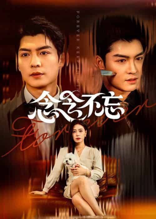念念不忘（73集全）方正男＆韩琪 - 海之城短剧