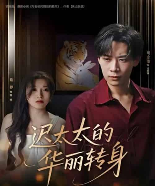 迟太太的华丽转身（80集全）胡金池＆路婷-海之城短剧项目
