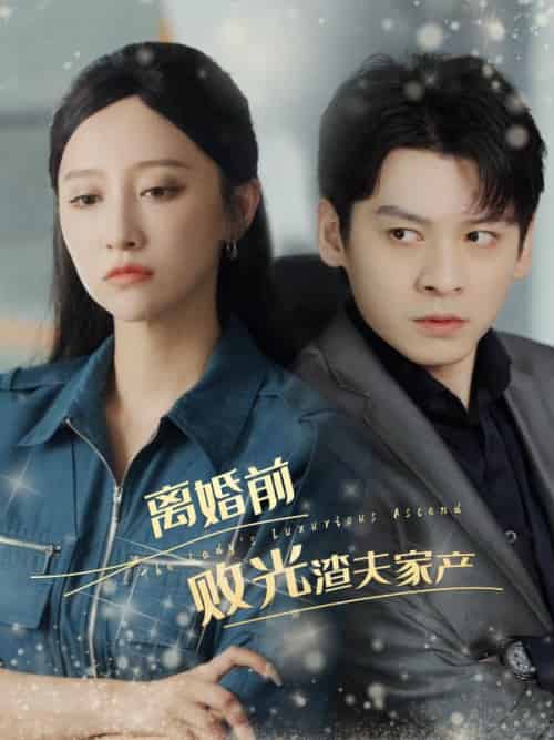 离婚前败光渣夫家产（100集全）莫成澜＆江金澄 - 海之城短剧