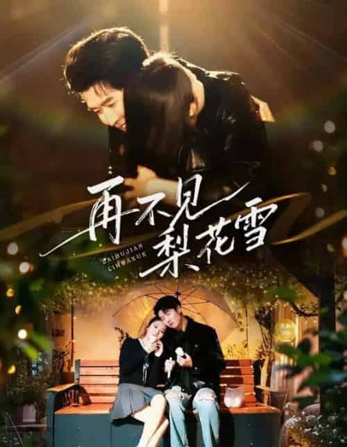 再不见梨花雪＆问夏碎梦（70集全）王裕博＆陈酉昔-海之城短剧项目