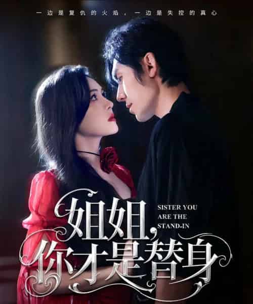 姐姐你才是替身（80集）刘旭＆杨倩倩-海之城短剧项目