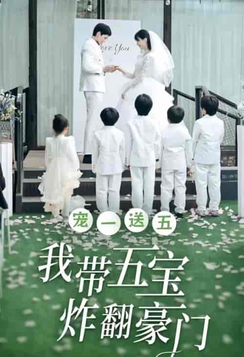 宠一送五，我带五宝炸翻豪门（80集） - 海之城短剧