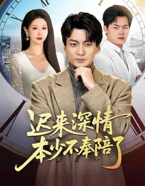 迟来深情本少不奉陪了（60集全）张沫蕾＆何祯-海之城短剧项目