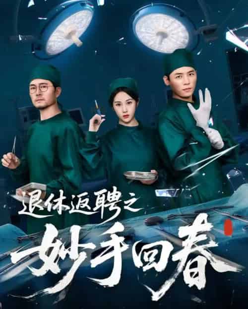 退休返聘之妙手回春（60集）朱文玉 - 海之城短剧