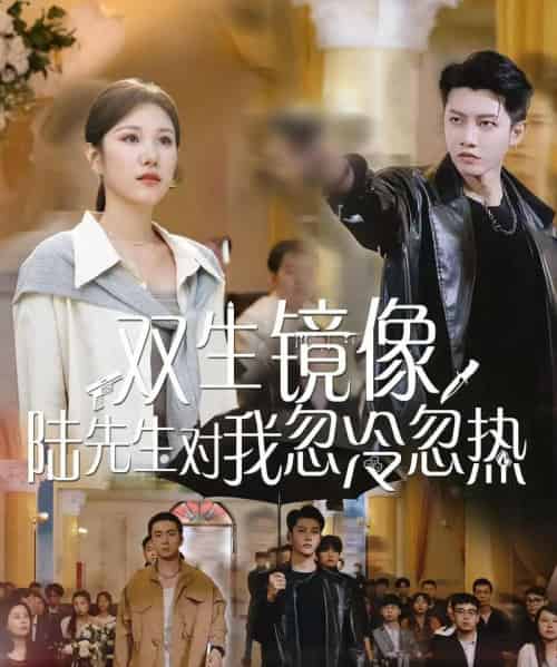 双生镜像陆先生对我忽冷忽热（61集）-海之城短剧项目