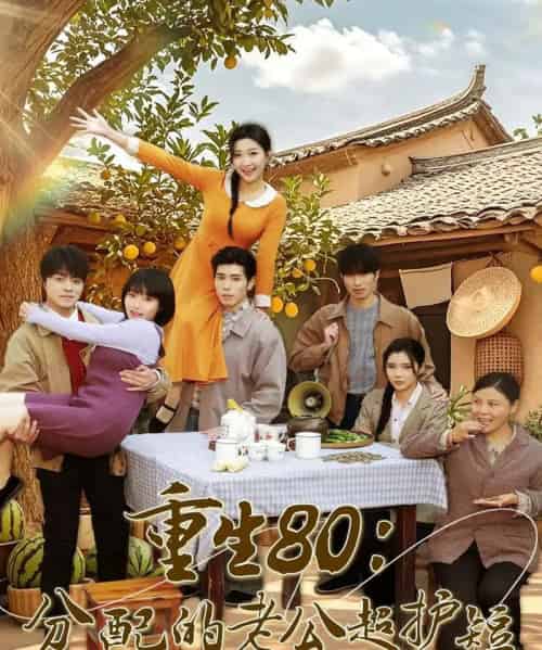 重生80：分配的老公超护短（66集全）庞博＆刘静阳-海之城短剧项目