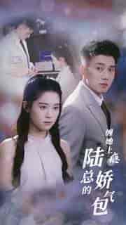 缠她上瘾陆总的娇气包（80集）翟一莹 黄文博 - 海之城短剧