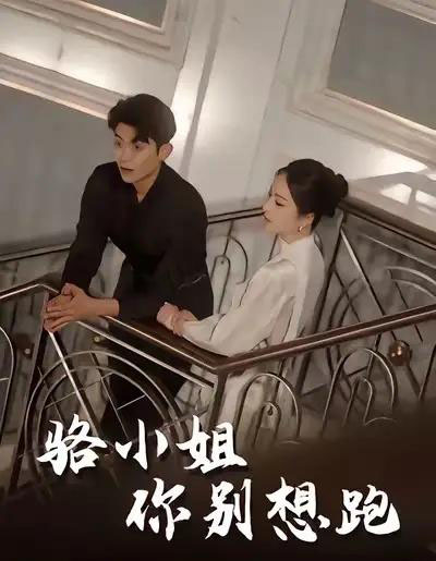 骆小姐你别想跑（30集全）隋佳＆纪昱良＆夏玄子-海之城短剧项目
