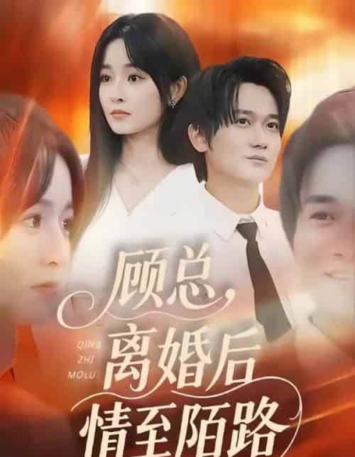 顾总，离婚后情至陌路（62集全）吴鑫＆顾嘉川＆张天维-海之城短剧项目