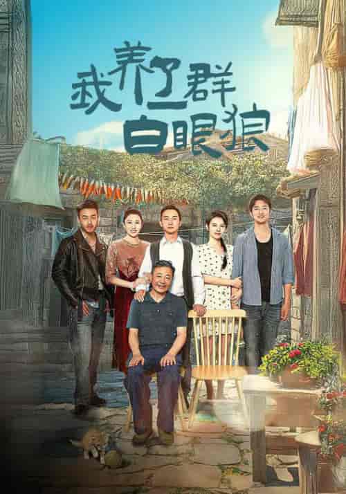 我养了一群白眼狼＆家家有本难念的经（34集全） - 海之城短剧