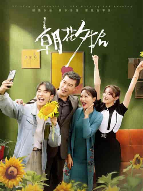 朝花夕拾（50集全）马铭婕 - 海之城短剧