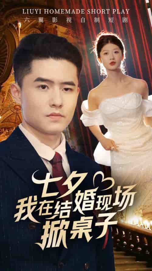 七夕我在结婚现场掀桌子（81集） - 海之城短剧