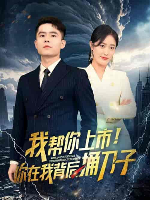 我帮你上市！你在我背后捅刀子（87集全） - 海之城短剧