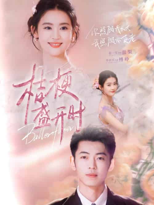桔梗盛开时＆她的小桔梗（92集全）李泉成＆翟一莹 - 海之城短剧