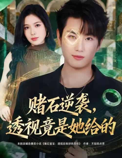 赌石逆袭,透视竟是她给的 赌石逆袭,透视竟是她给的