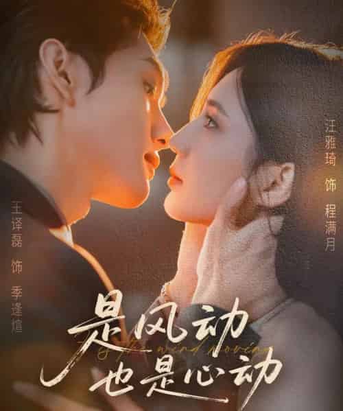是风动也是心动（60集全）王译磊＆汪雅琦-海之城短剧项目