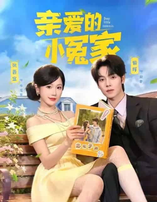亲爱的小冤家（80集全）曾辉＆张晋宜-海之城短剧项目